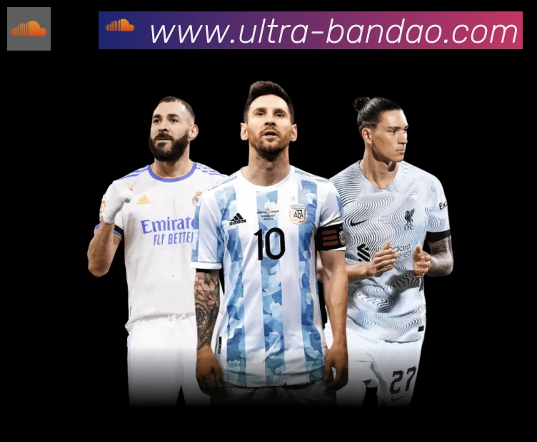互动解说服务